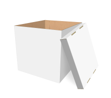 Самозбірна коробка 300х260х250 мм, Т-22 «Е» білий